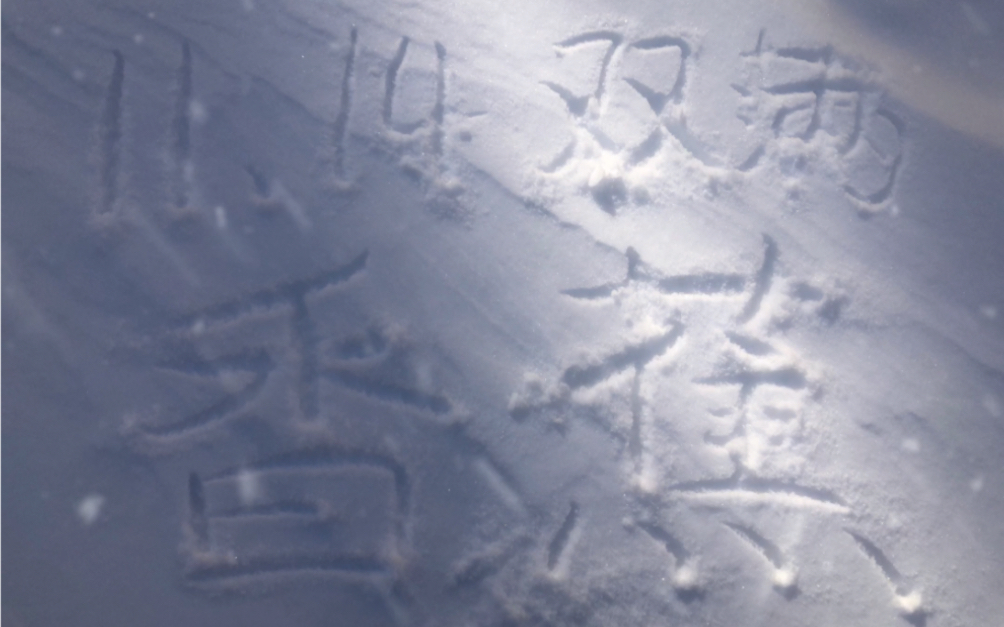 看~今年的初雪,是散落在人间的温柔,让我带你感受这“雪色浪漫”哔哩哔哩bilibili