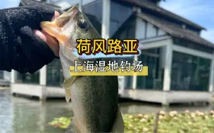 Download Video: 【哔嘟路亚】第24集 荷风路亚的荷花开了，浮萍下面都是鱼