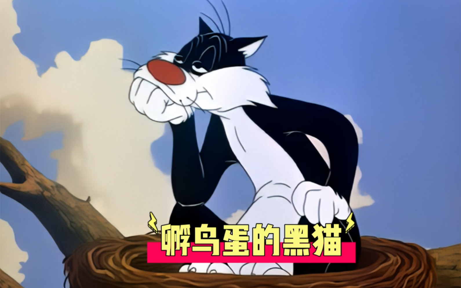 黑猫为了吃小鸟,居然开始孵鸟蛋#童年经典动画片