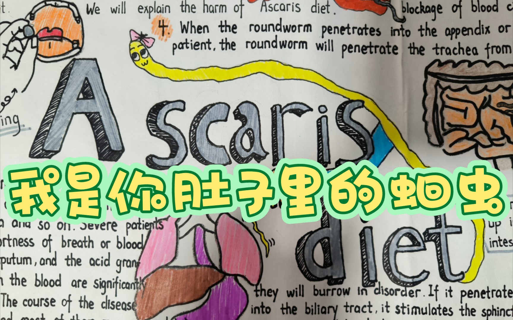 蛔虫减肥法: 适合狠人