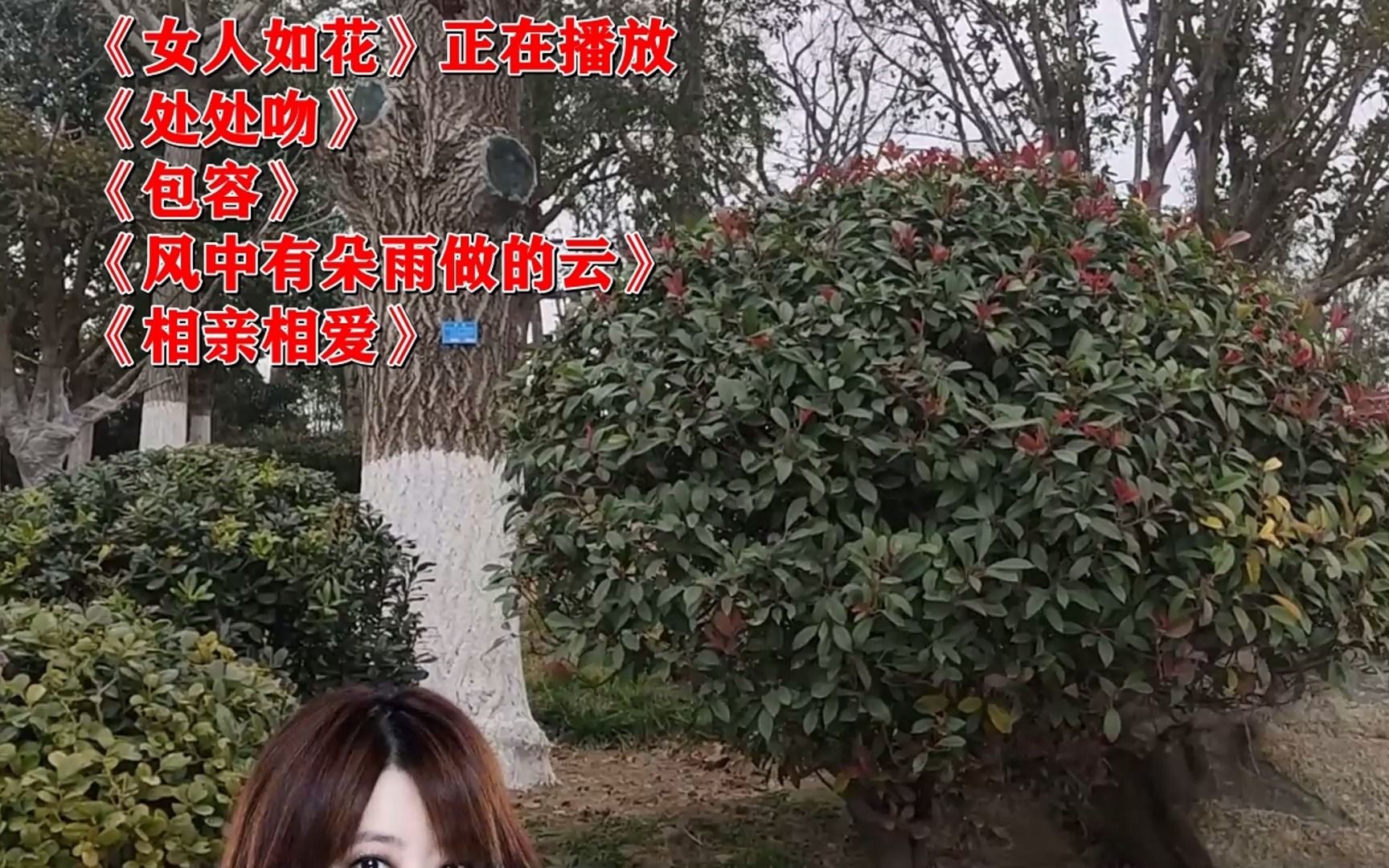 《女人如花》《处处吻》mv哪个软件好用(巨鹰软件)哔哩哔哩bilibili