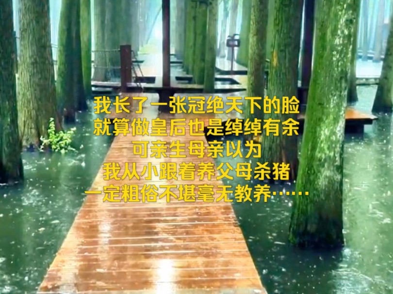 朝花偏见|我有一张冠绝天下的脸,就算做皇后也是绰绰有余.可亲生母亲以为我从小跟着养父母杀猪,一定粗俗不堪毫无教养,便决定等我回府,将我囚于...