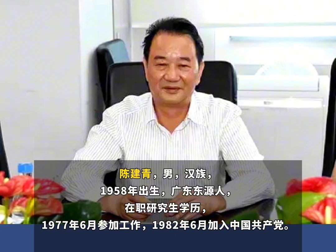 涉嫌贪污受贿!广东省梅州市政协原主席,陈建青被决定逮捕!哔哩哔哩bilibili