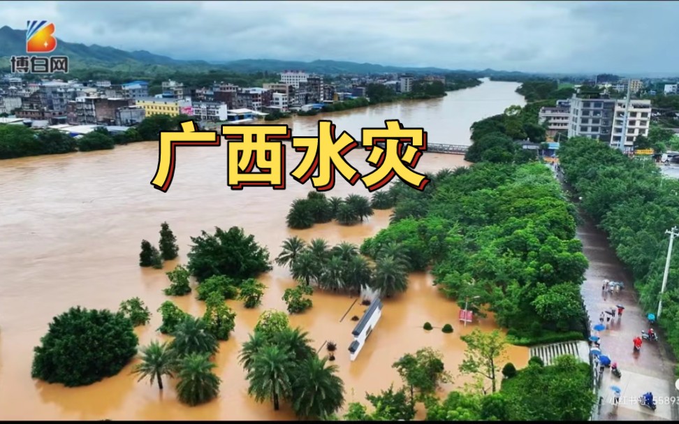 很少人知道,广西玉林博白暴雨水灾哔哩哔哩bilibili