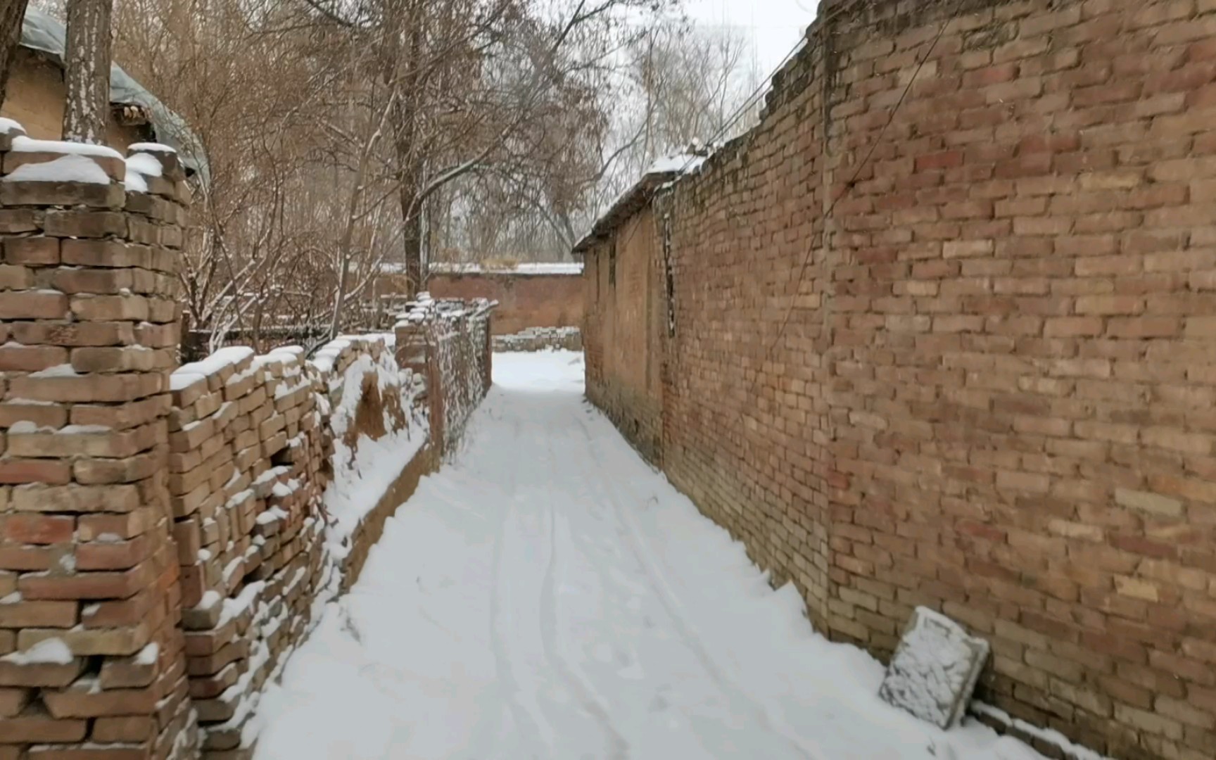 雪后的鲁西北乡村