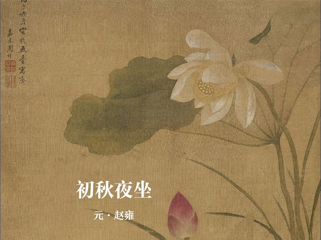 诗词日历8.29,坐对荷花两三朵,红衣落尽秋风生.哔哩哔哩bilibili