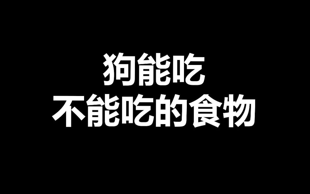 宠物冷知识:狗能吃和不能吃的食物,你有喂过哪些不能吃的食物吗?哔哩哔哩bilibili