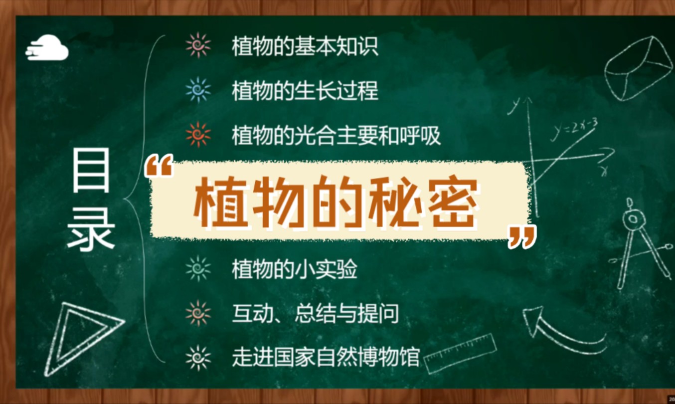 【儿童科普】科学探秘之旅——植物的秘密
