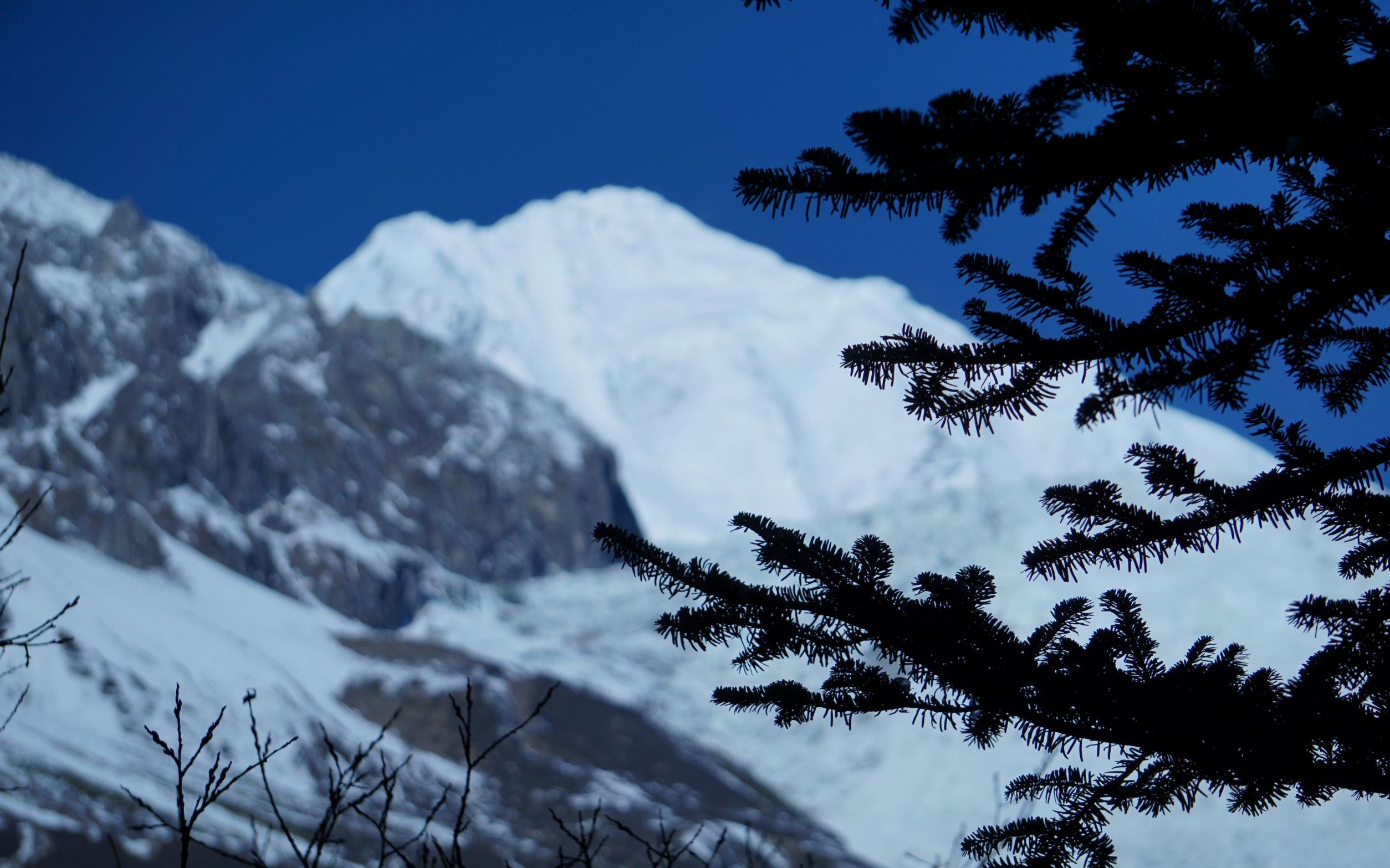 冬季海螺沟贡嘎雪山