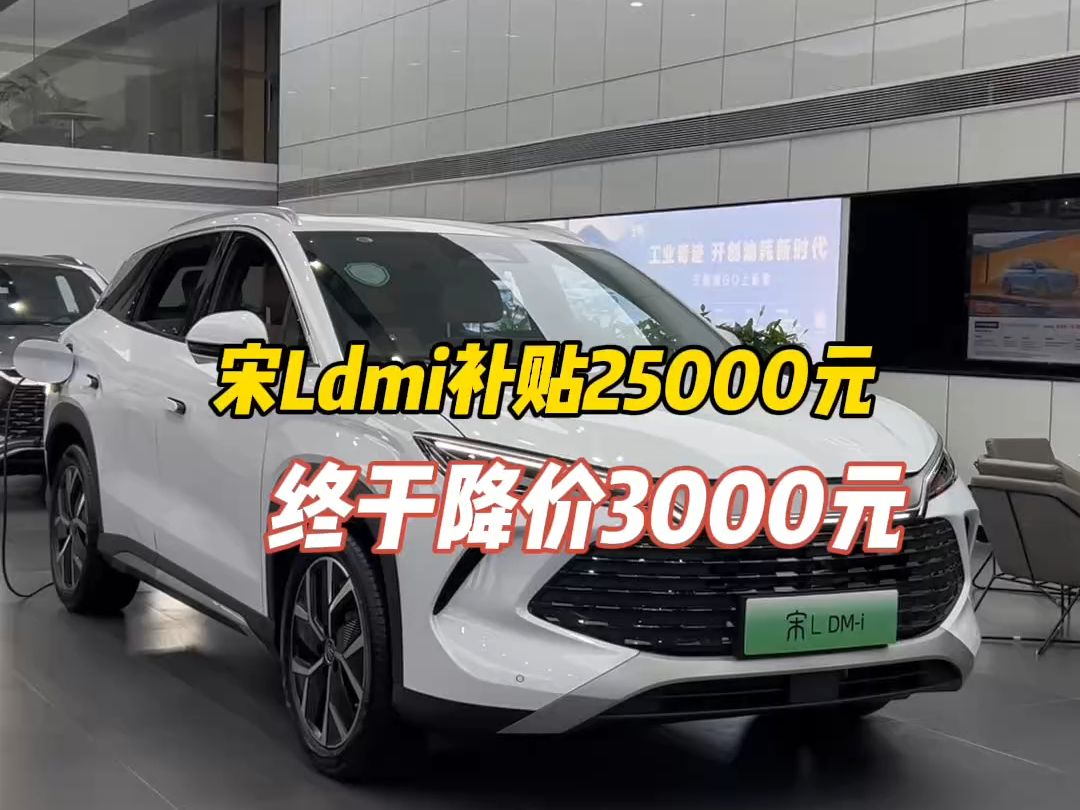 疯了!宋Ldmi 降价3000元了!还有至高补贴25000元!快来抄底!#三十而立感谢同行#比亚迪降价#莆田比亚迪王朝网#宋Ldmi哔哩哔哩bilibili