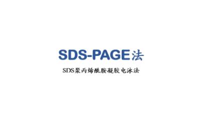 [图]SDS-PAGE凝胶电泳实验原理