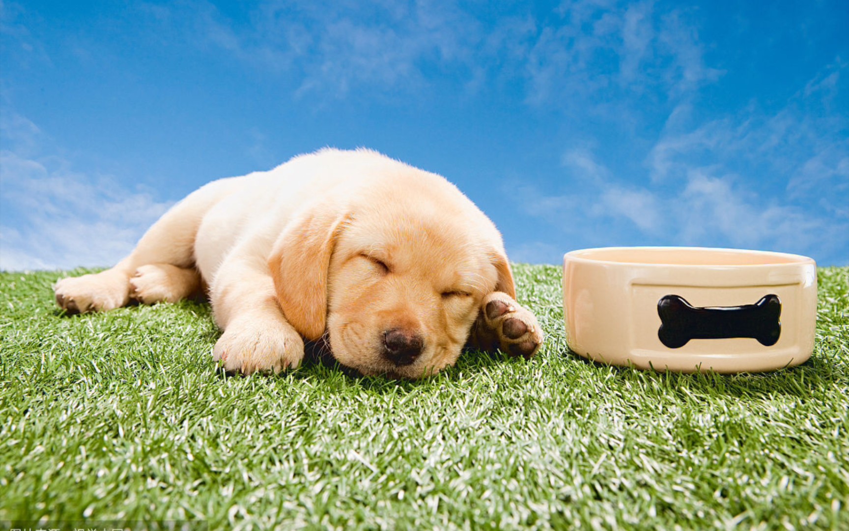 地躺躺,晒太阳_哔哩哔哩_bilibili