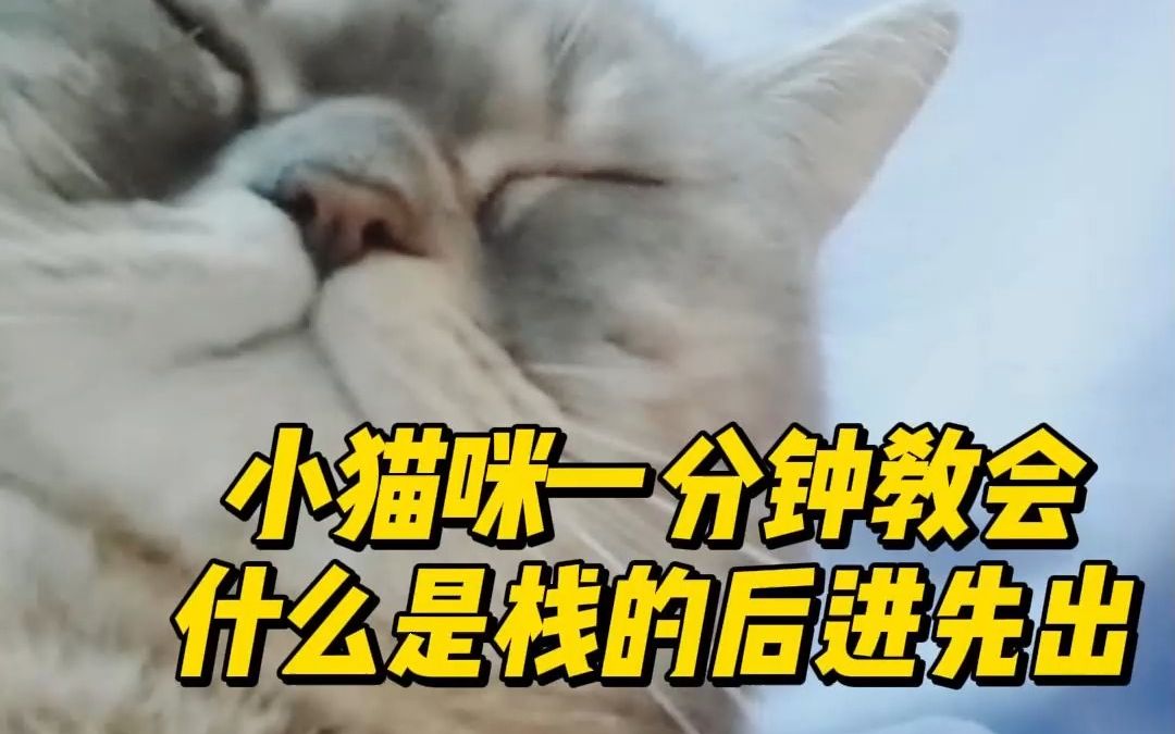 小猫咪教我什么是栈的后进先出!哔哩哔哩bilibili