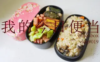 双层便当盒 搜索结果 哔哩哔哩 Bilibili