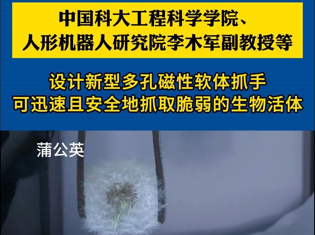 来学习怎么抓蒲公英! 全面解析磁性软体抓手哔哩哔哩bilibili