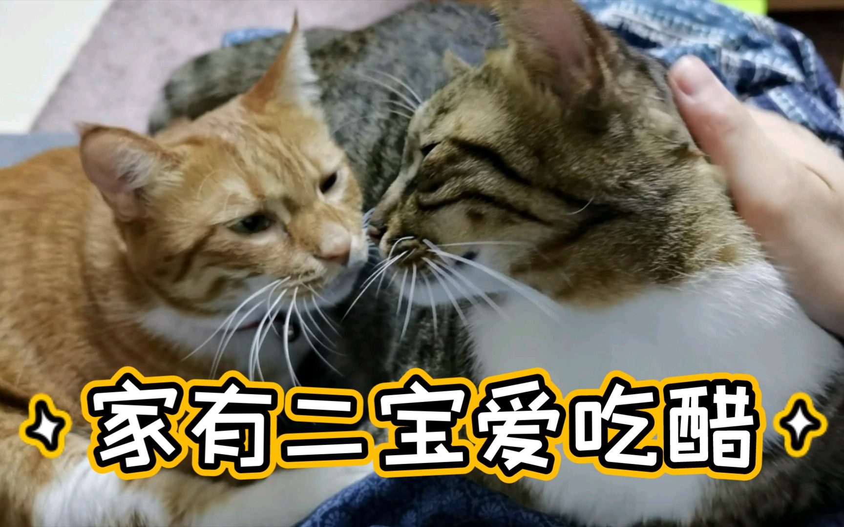 家有二宝温馨多