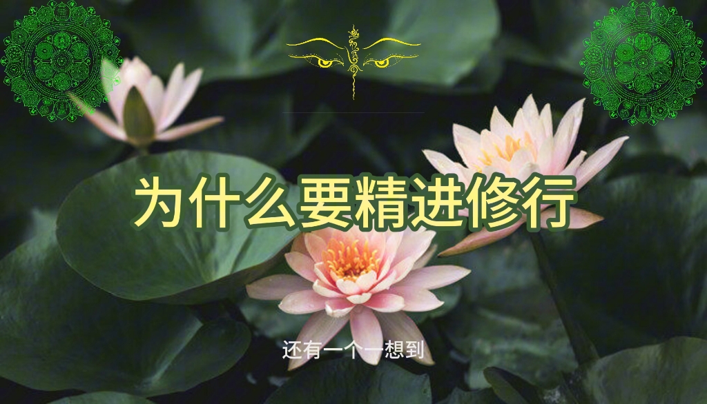 为什么要修行?且是精进地修行!