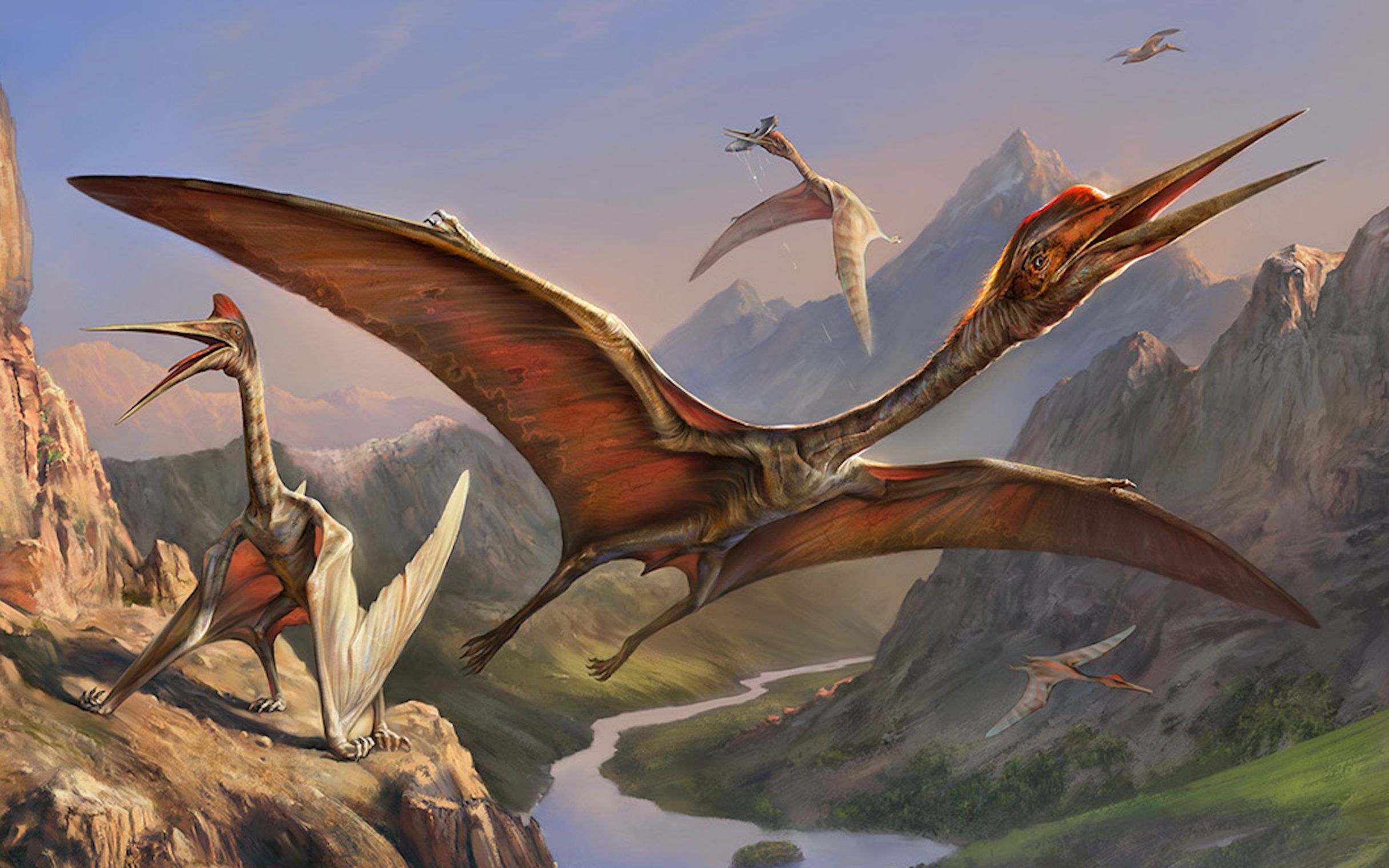 史上最大的飞行动物到底会不会飞?风神翼龙和神龙翼龙类的秘密