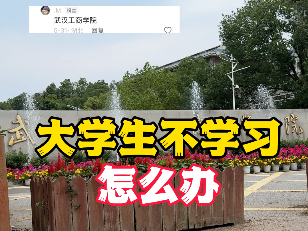 大学生不学习怎么办《武汉工商学院》哔哩哔哩bilibili