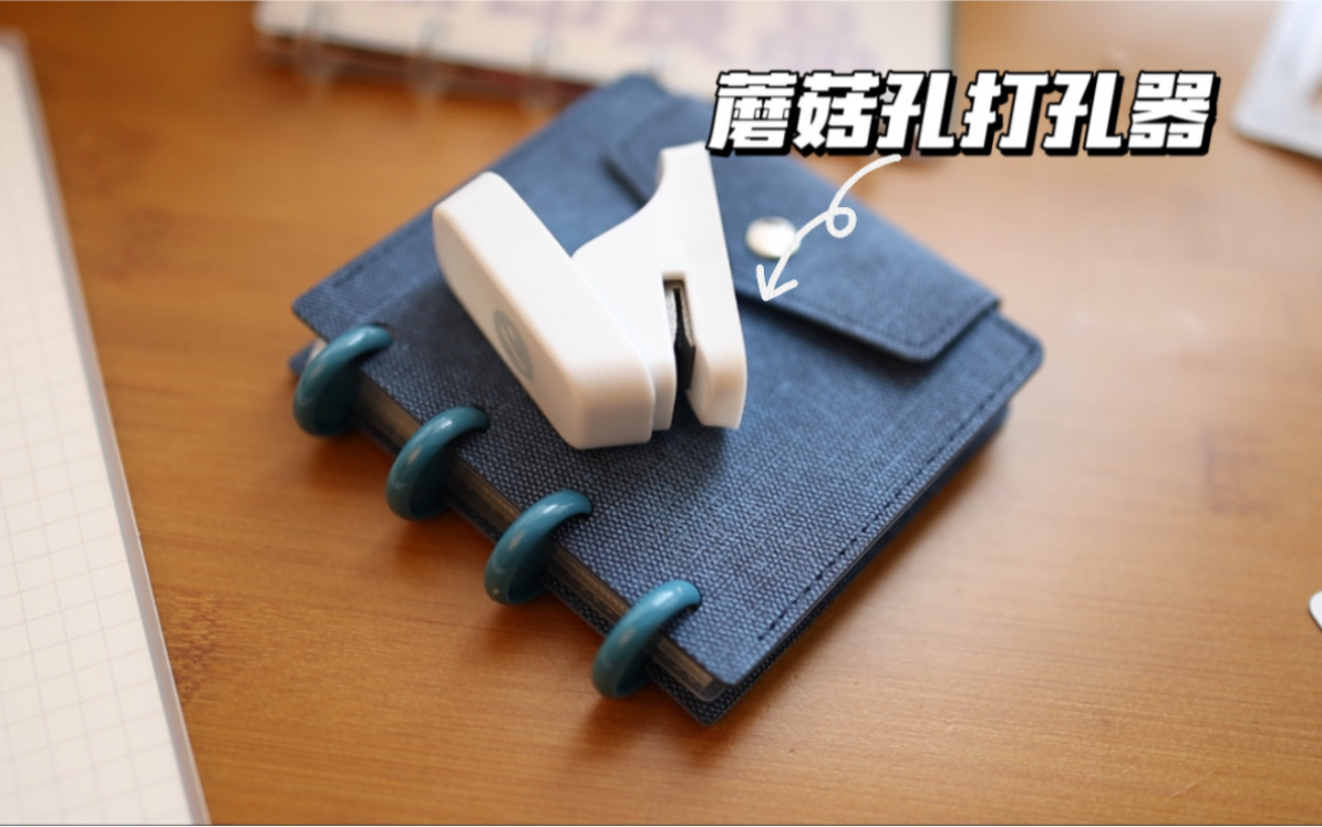 明明蘑菇孔很实用，为什么国内就是不火呢？？-差生文具盒-差生文具盒-哔哩哔哩视频