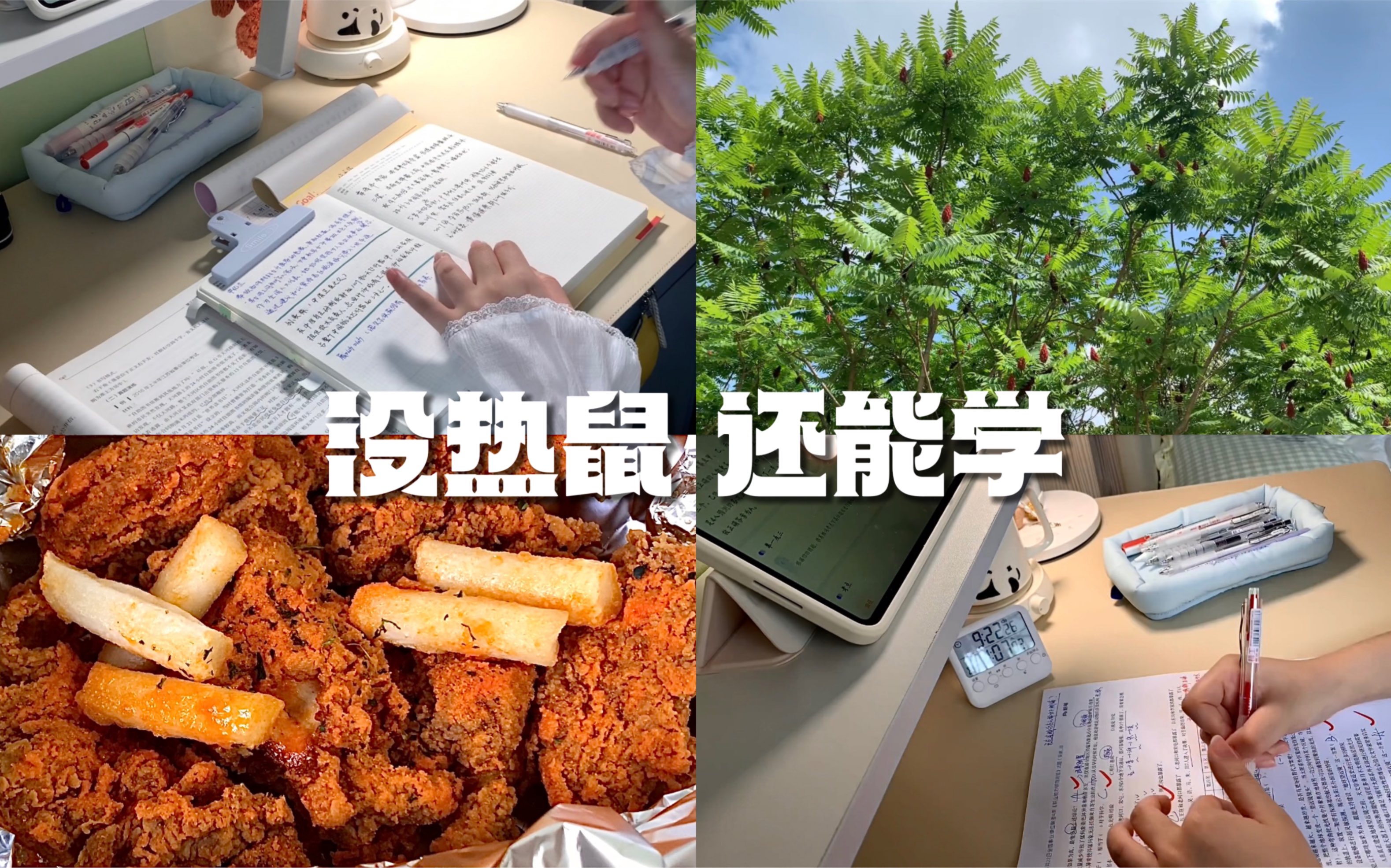 [图]Study Vlog ｜6:00～22:00的一天｜无痛早起｜宅家学习｜背书｜刷题｜复盘｜全职备考｜高效学习｜热炸了