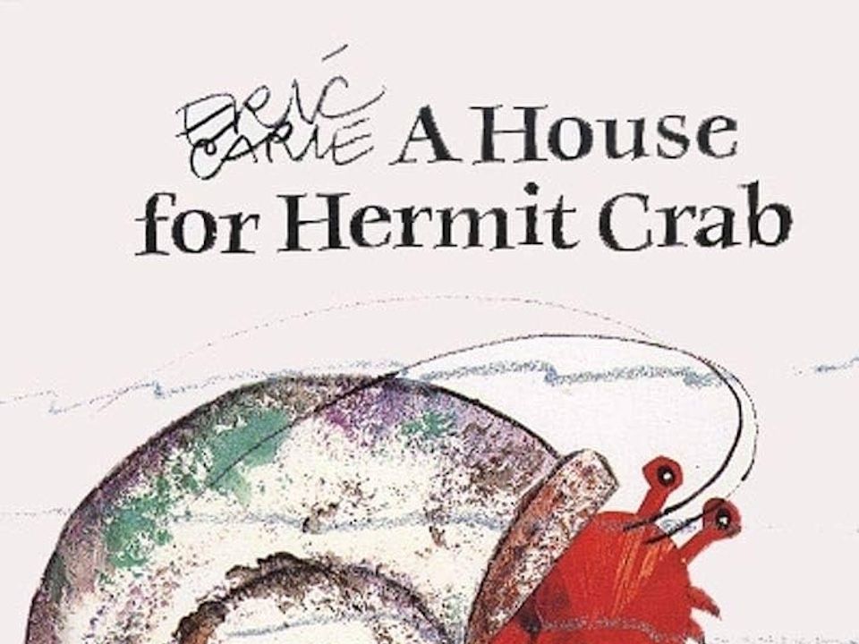 【英语】《寄居蟹的房子 A House for Hermit Crab》儿童英语绘本故事哔哩哔哩bilibili