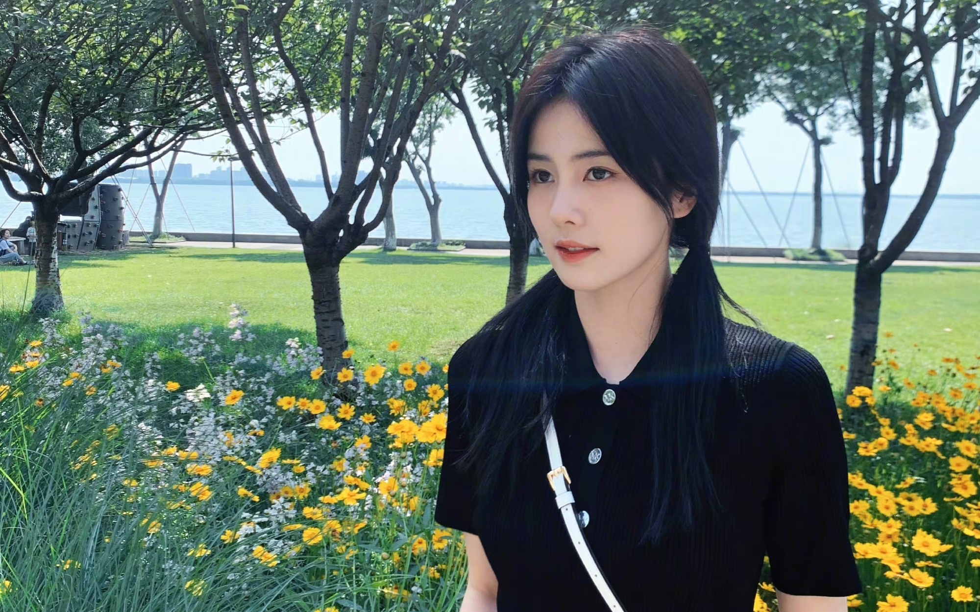 白鹿好阳光