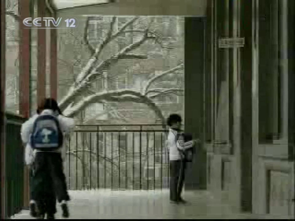 2010.5.20 CCTV12 8:33天网开始前广告哔哩哔哩bilibili