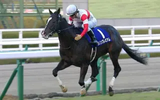 朝日杯fs 搜索结果 哔哩哔哩 Bilibili