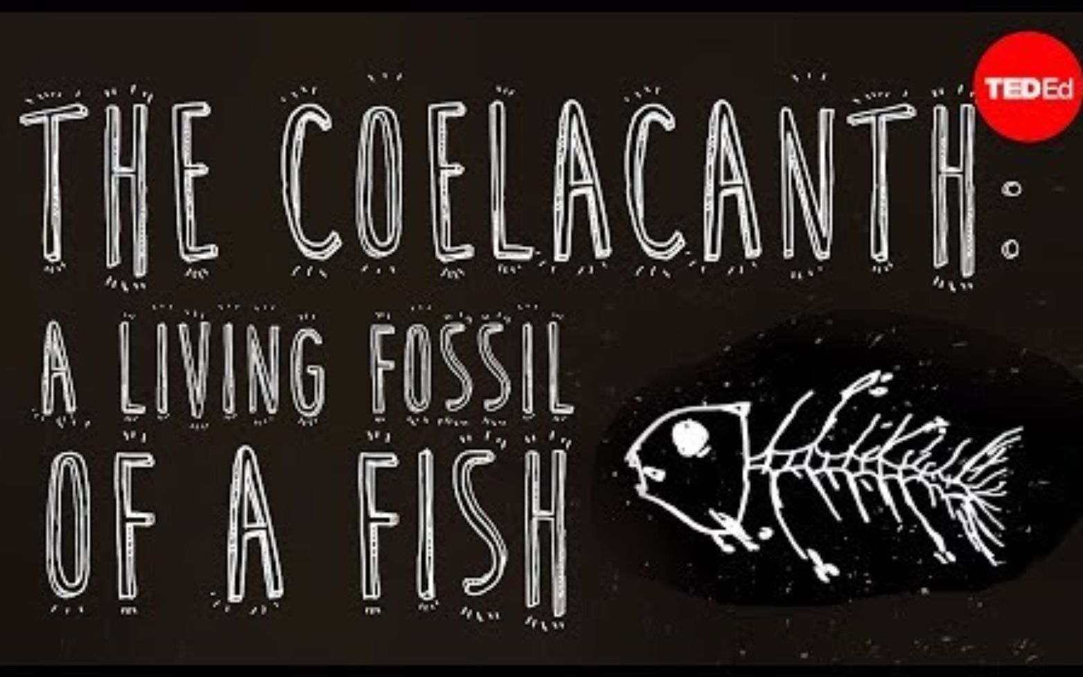 [图]【Ted-ED】腔棘鱼：活化石 The Coelacanth A Living Fossil Of A Fish