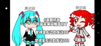 真假初音                                                                          才怪