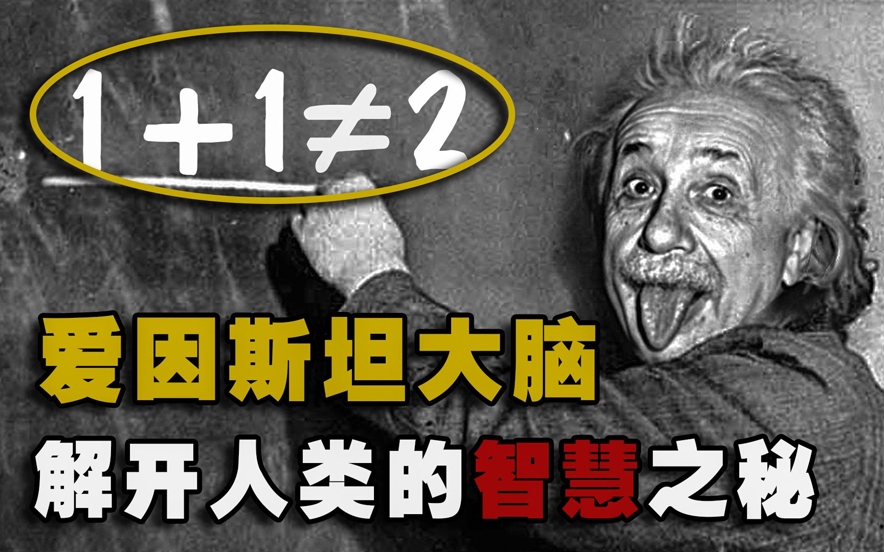 【素食名人传】 爱因斯坦竟然是素食主义者!去世后大脑还被强行分成240块切片!64年过去也没研究出来答案哔哩哔哩bilibili