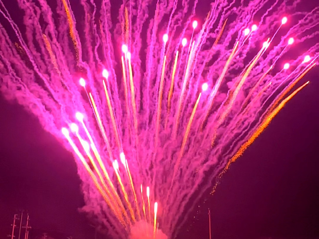 紫孔雀机关枪扇形烟花 #扇形烟花 #孔雀开屏烟花 #烟花