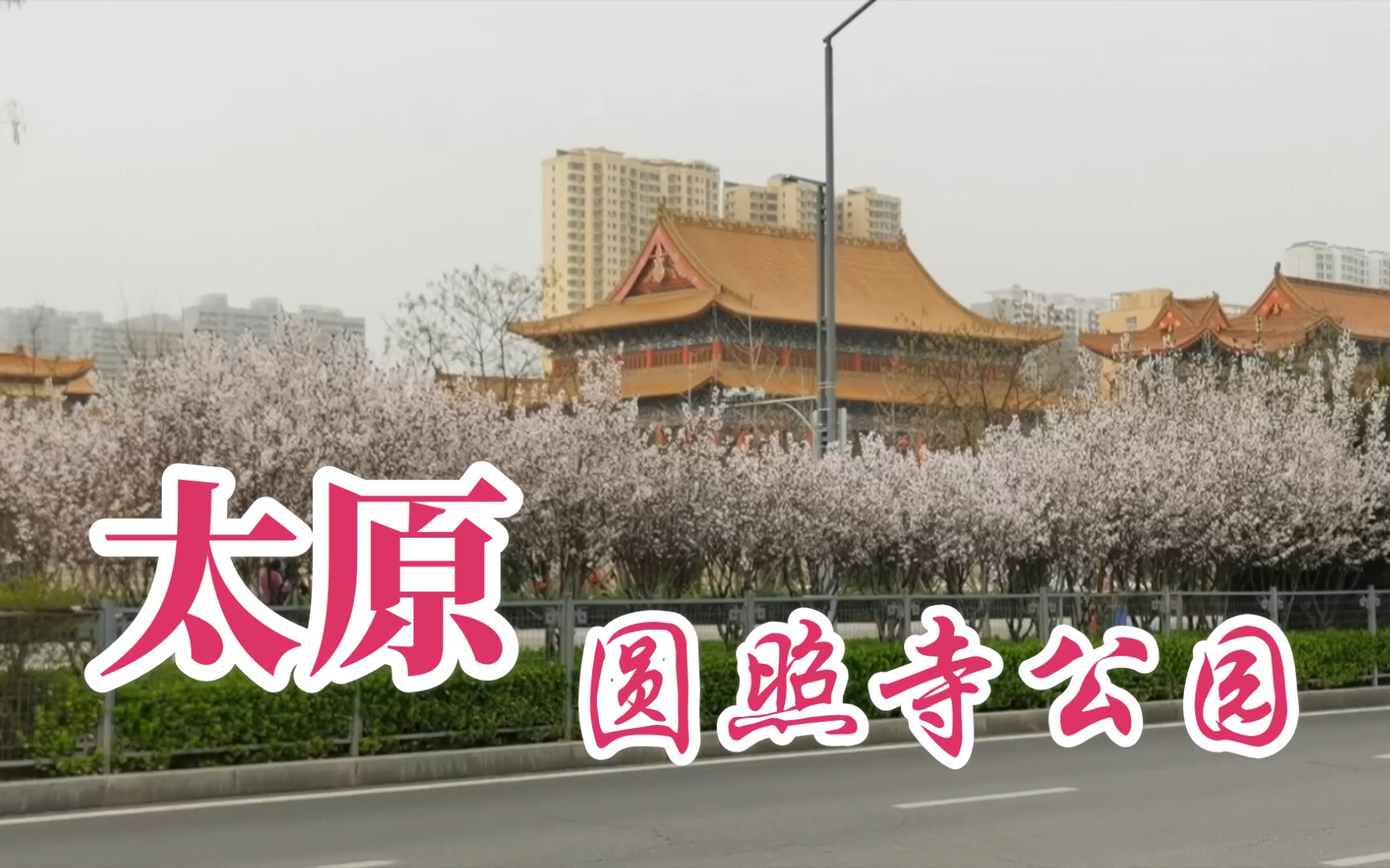 活动作品太原小店区圆照寺公园也称圆照寺佛教文化公园