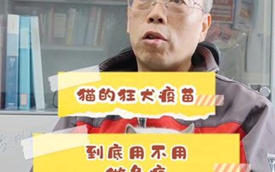 总有朋友问猫到底用不用打狂犬疫苗,答案来了,建议养猫的朋友都看看.哔哩哔哩bilibili