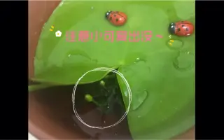 博爱主义 搜索结果 哔哩哔哩 Bilibili