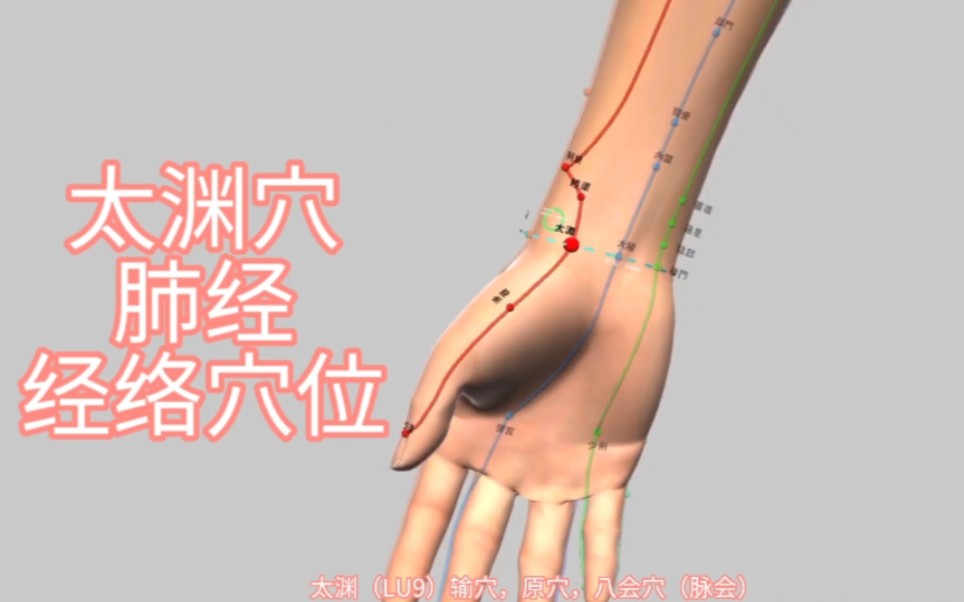 太渊穴_肺经_经络穴位