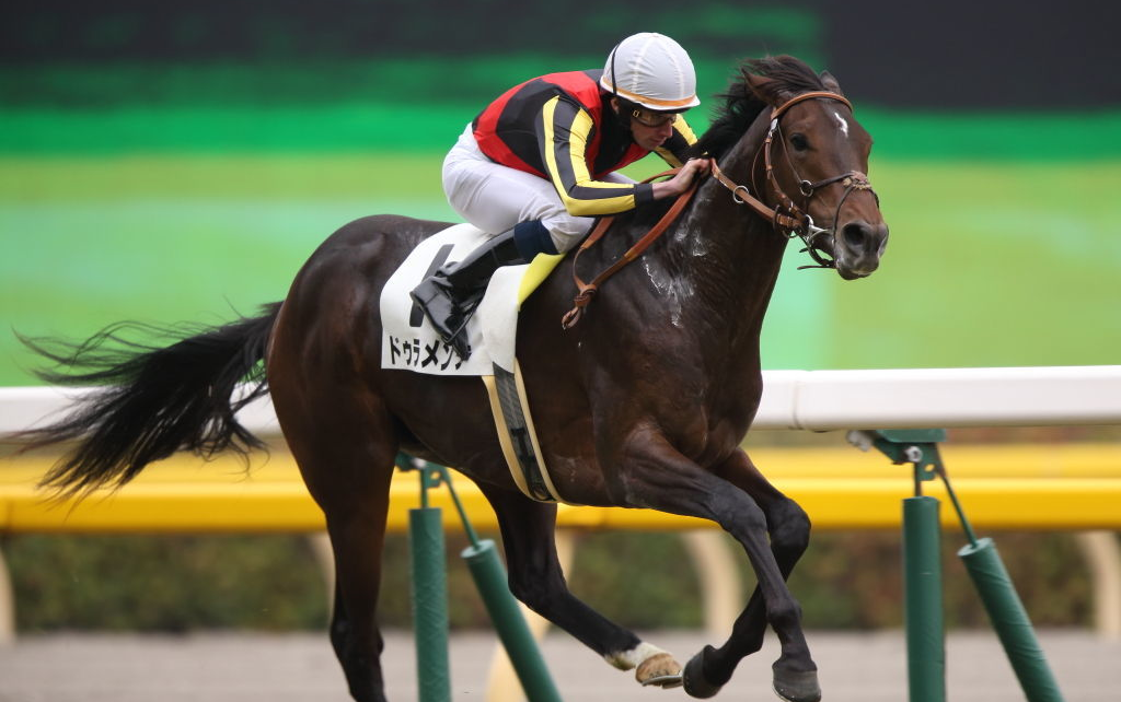 赛马东京优骏日本derbygⅠ赛事纪录duramente大鸣大放