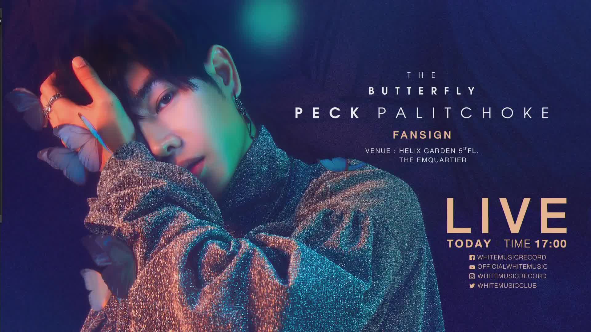 【泰国音乐】peck palitchoke - 专辑the butterfly fansign