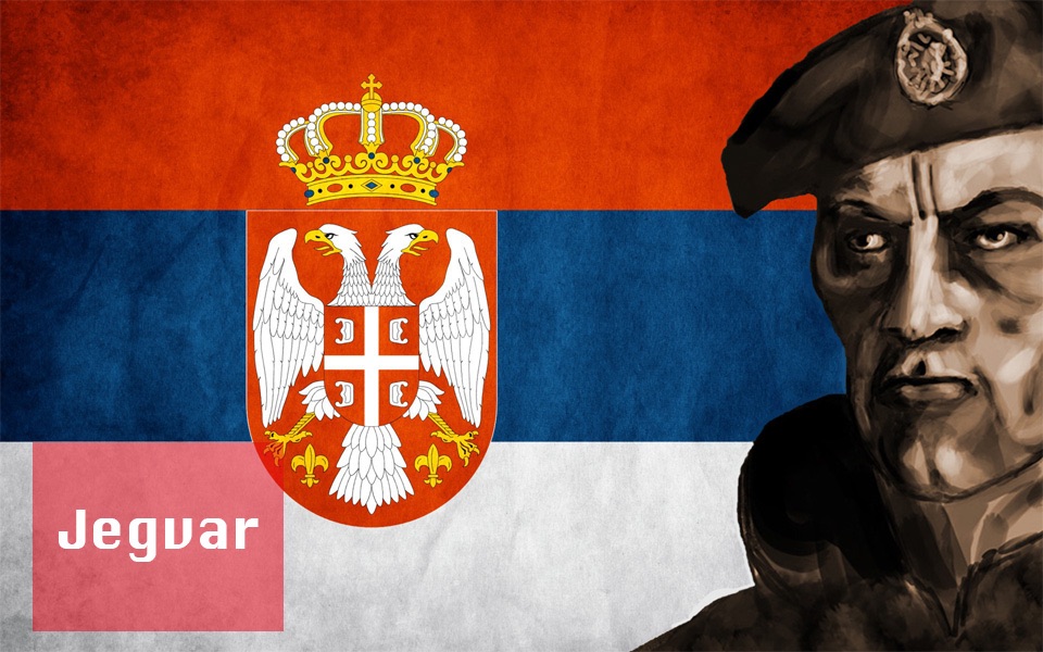 中塞双字removekebabserbiastronggodisaserb