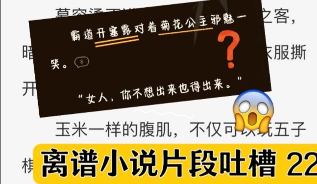 霸总开塞露和菊花公主的爱情?离谱小说片段吐槽第22期哔哩哔哩bilibili