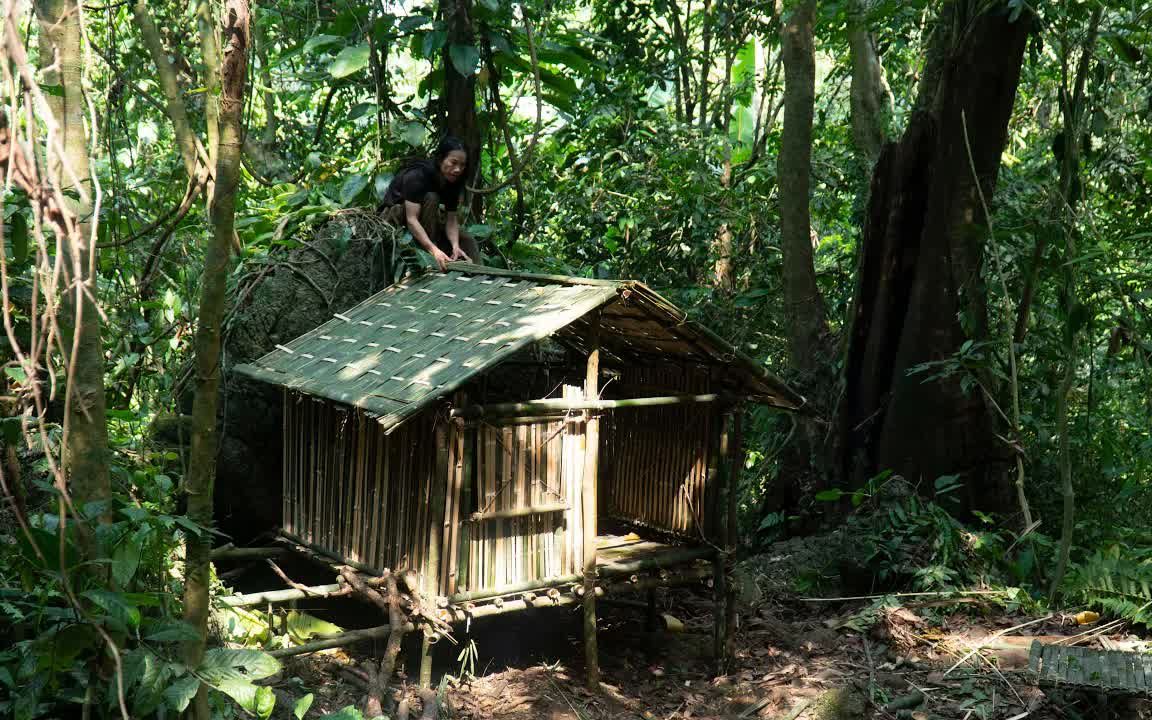 原始丛林人-6个月的丛林生存,第128集-精加工屋顶,荒野求生,野外生存