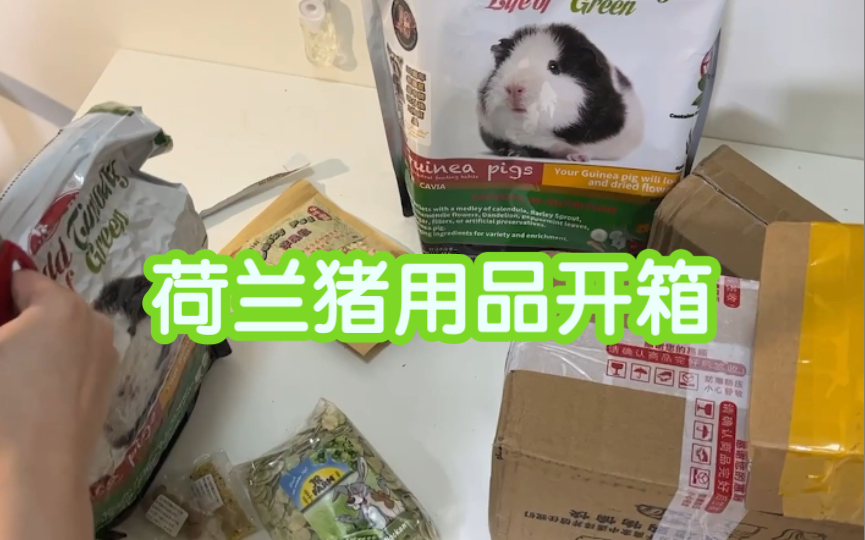 【荷兰猪】荷兰猪用品开箱以及好物推荐哔哩哔哩bilibili