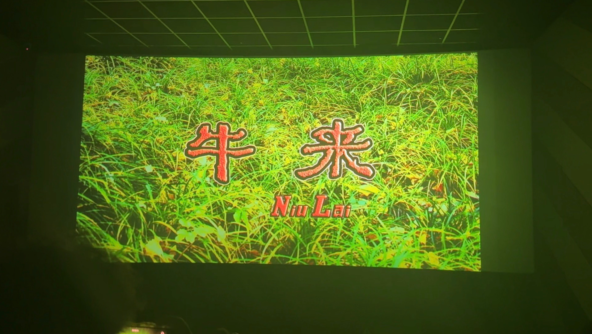 牛来8月15号成都场新鲜出炉观众reaction