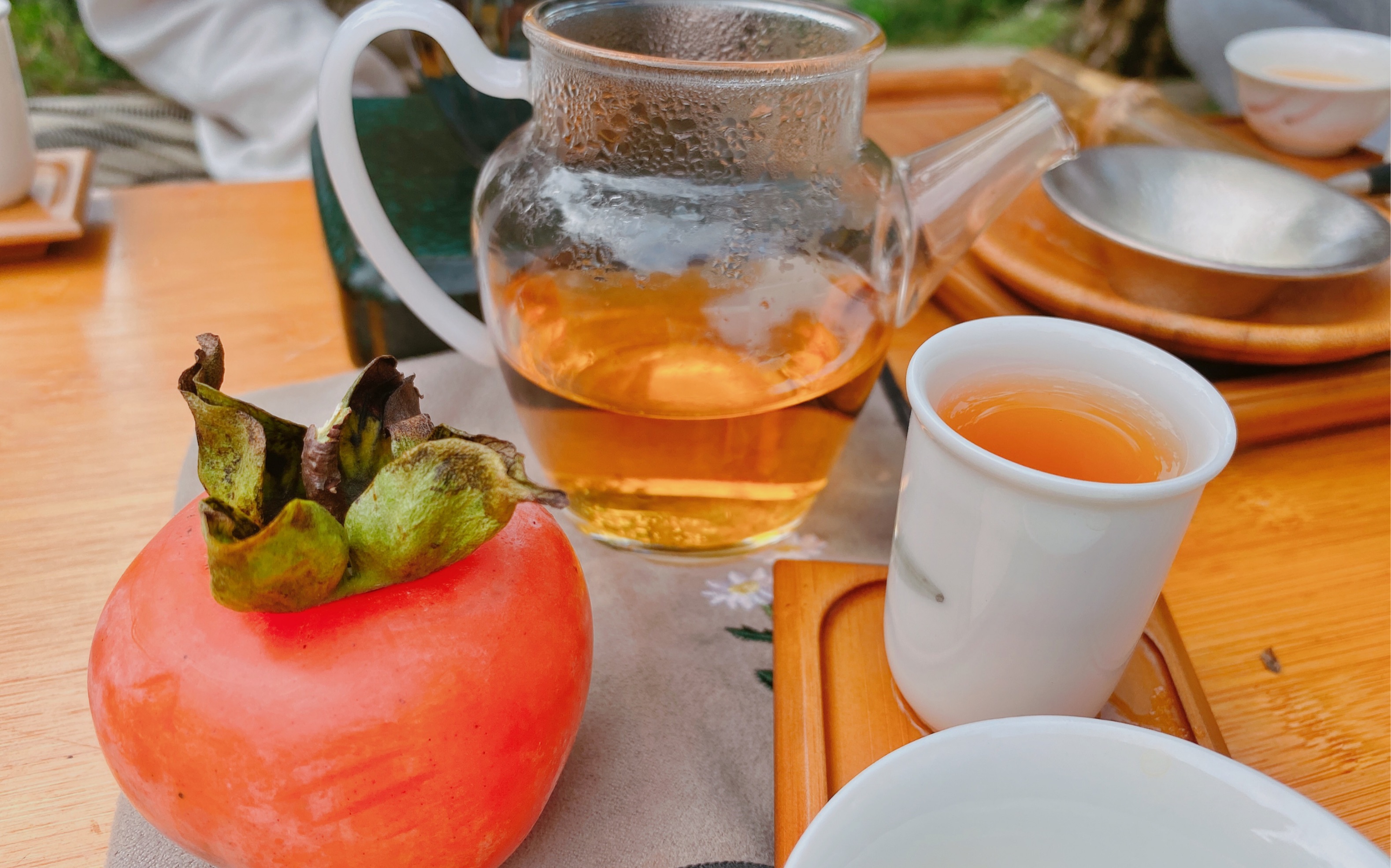 vlog 01|柿子林野外泡茶