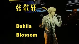 下载视频: 【又一神级现场诞生】张敬轩Dahlia Blossom演唱会全收录，听完可以垂直入坑