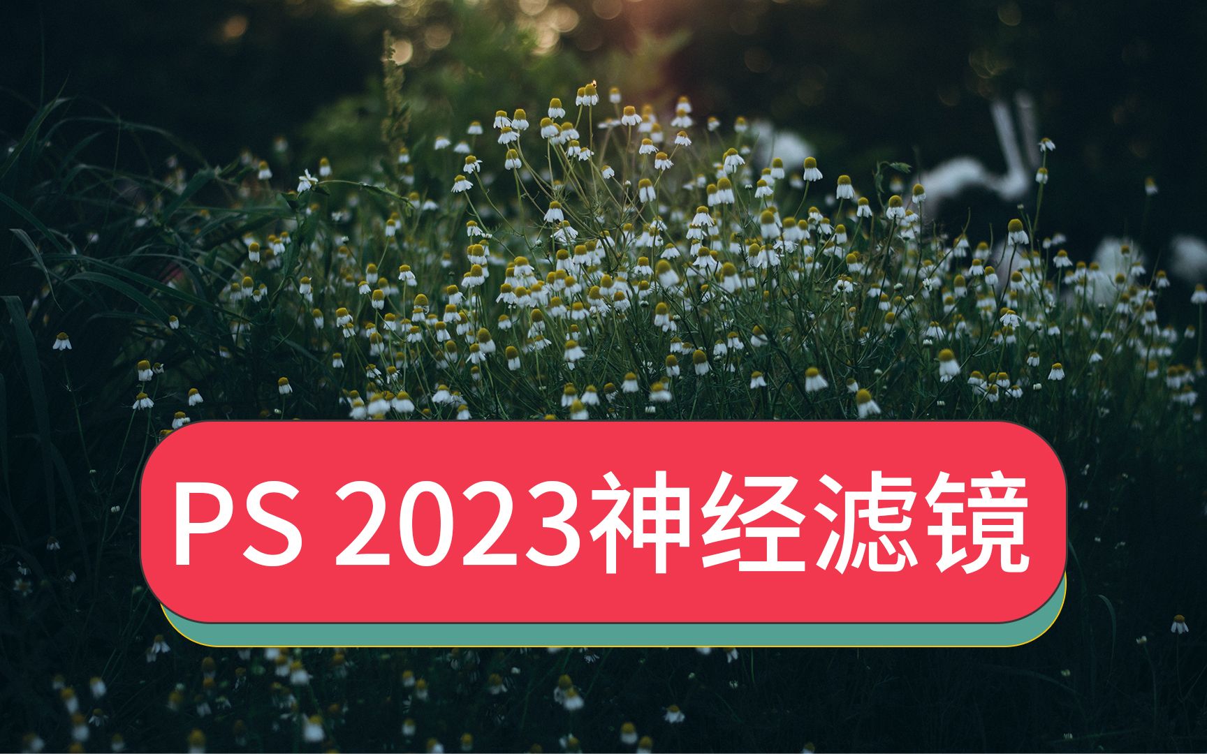 最新PS2023 24.7神经滤镜Neural Filters神经网络ai滤镜离线包安装包完整版怎么安装哔哩哔哩bilibili