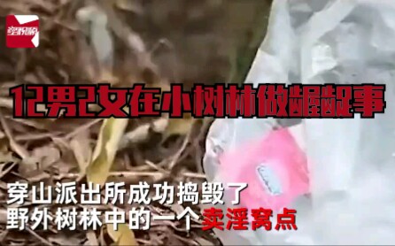 12男2女在小树林做龌龊事被民警当场抓获哔哩哔哩bilibili