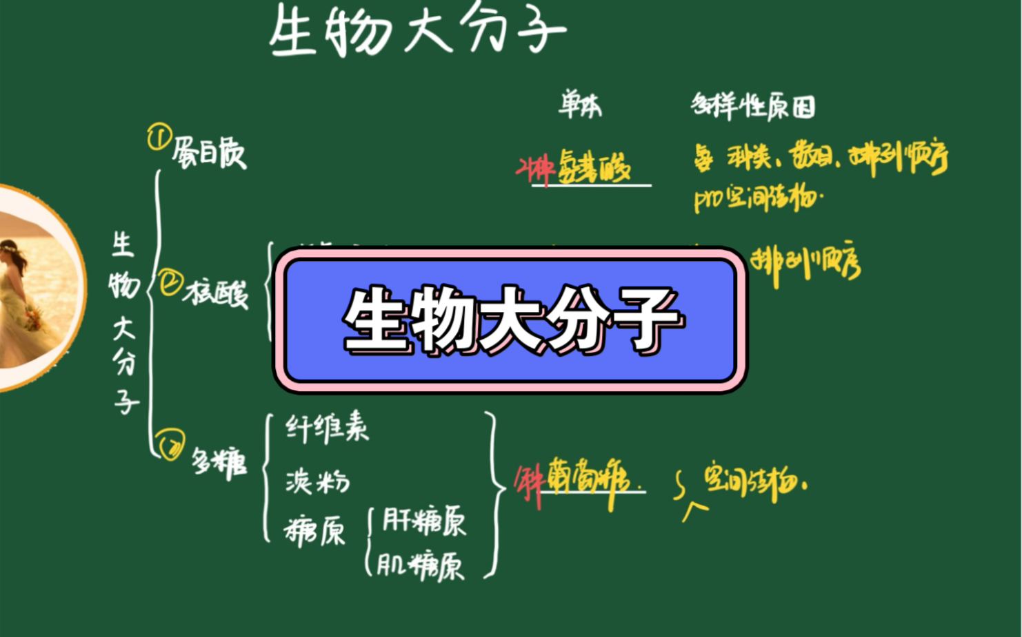 新/旧高考|生物|细节知识点|1.9生物大分子哔哩哔哩bilibili