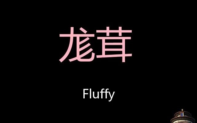 尨茸 Chinese Pronunciation fluffy哔哩哔哩bilibili